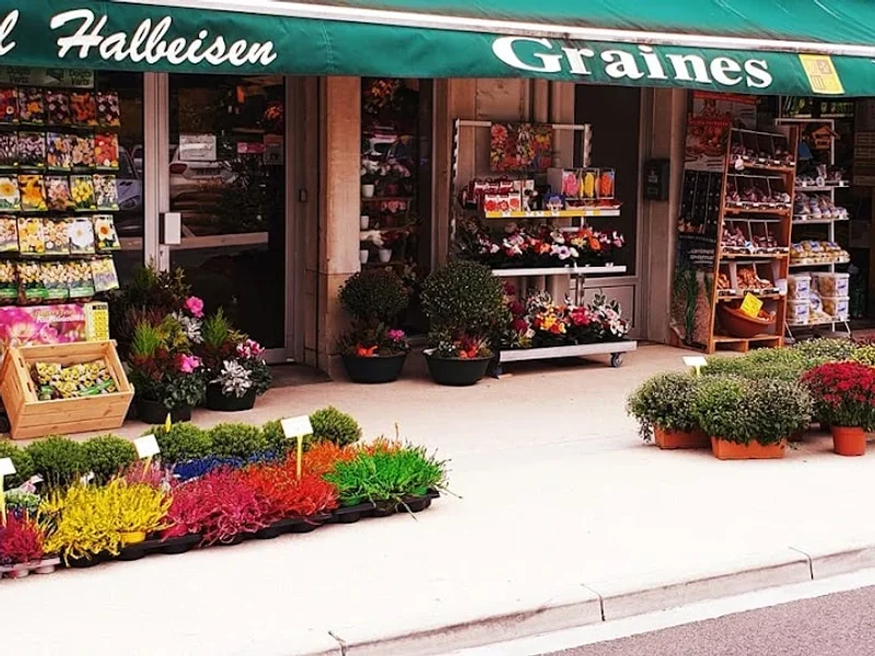 Graineterie HALBEISEN