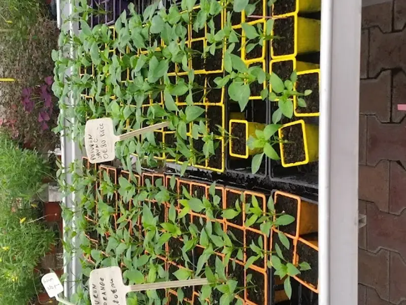 ESAT Atelier des PEP - Serre de Vente - Le Panier d'Ici