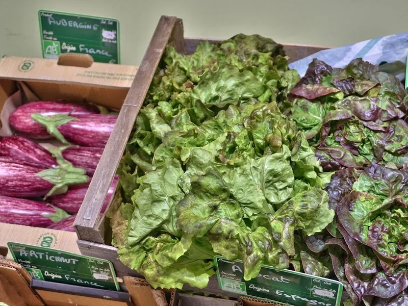 Diététic Santé (Diététique Santé)