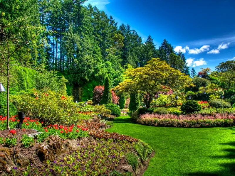 ACDCM Motoculture / CTCK