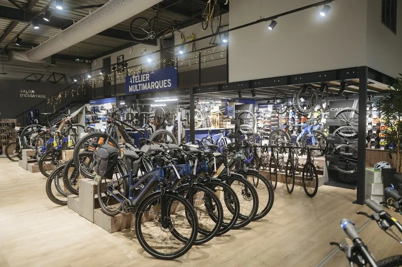 Giant Chalon Sur Saône