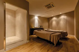 Les 30 massages de Dijon Côte-d'Or