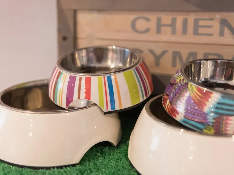 Toilettage Pontissalien