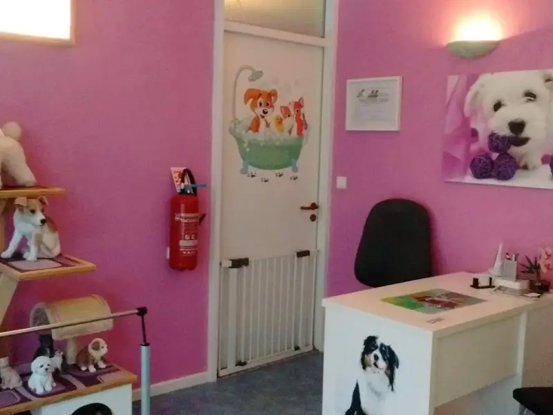 Toilettage les p'tits Filous