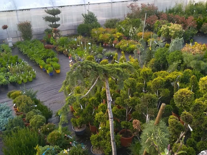 Jardinerie GENTY CHATILLON SUR SEINE