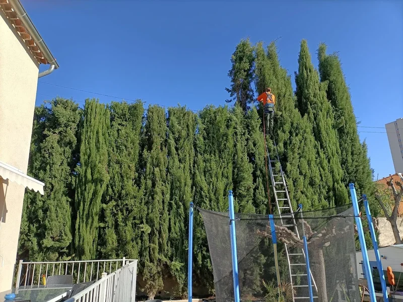 JB- Elagage Côte-d'Or ( service d'élagage, jardinier, paysagiste )