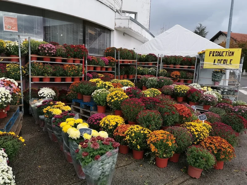 Le jardin de Lily