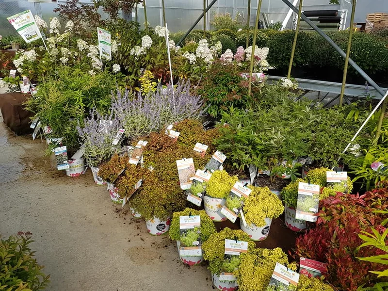 Les Serres Drezet Olivier