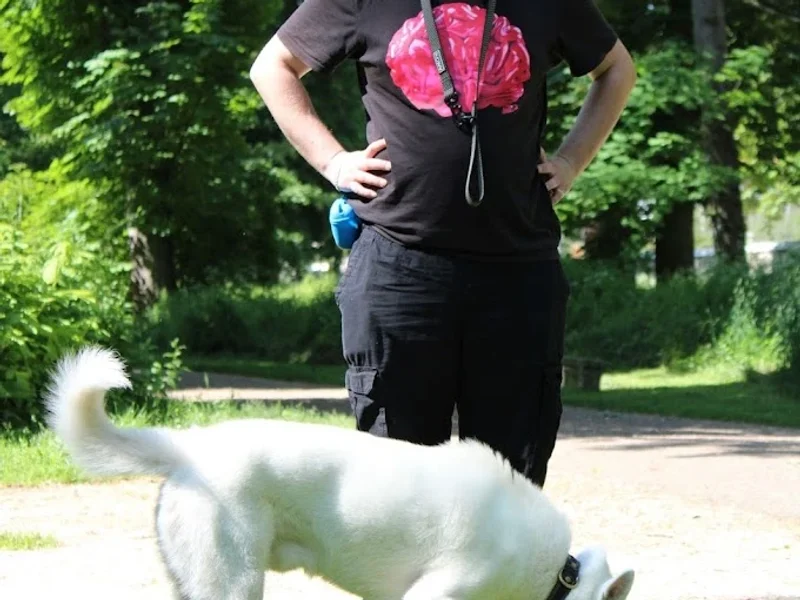 Educ ton Chien - Educateur canin à Dijon