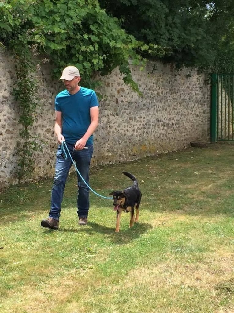 Good Dog - éducateur canin comportementaliste