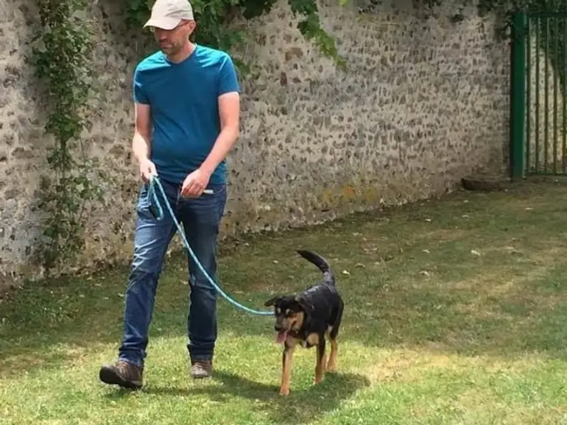 Good Dog - éducateur canin comportementaliste