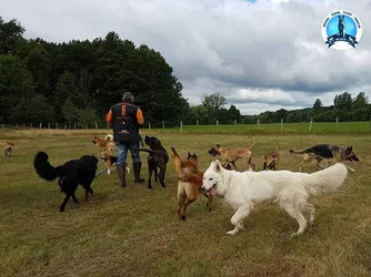 Les 14 dresseurs de chiens de Doubs