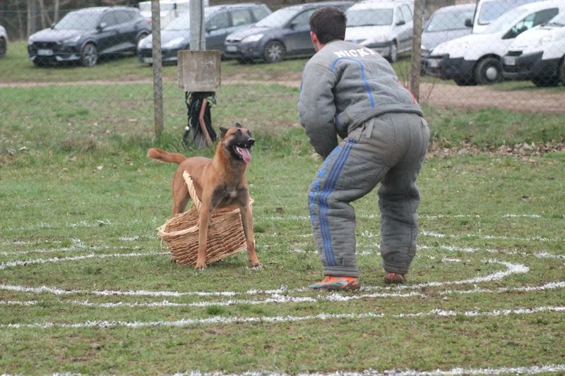 Centre Canin de Chemaudin