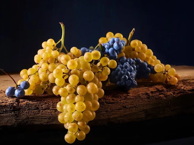 Antoine Morfaux Photographie