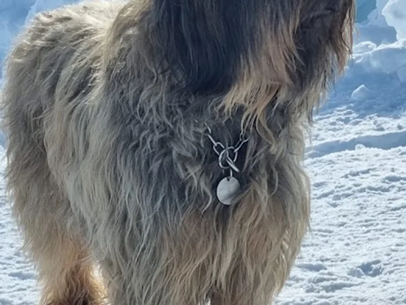 Clinique des Trois Marronniers