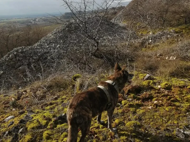 Clinique vétérinaire Univet du Château - Beaune
