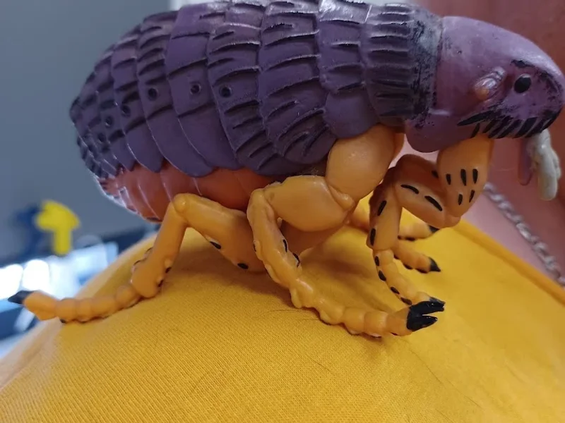 Veterinaires d'Alesia SELARL