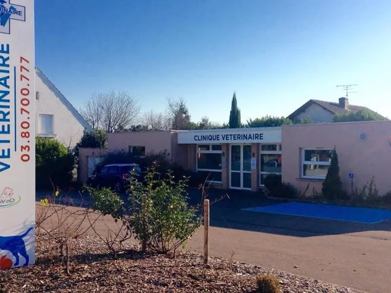 Clinique Vétérinaire Terrier Finelle Koël Destannes SELARL