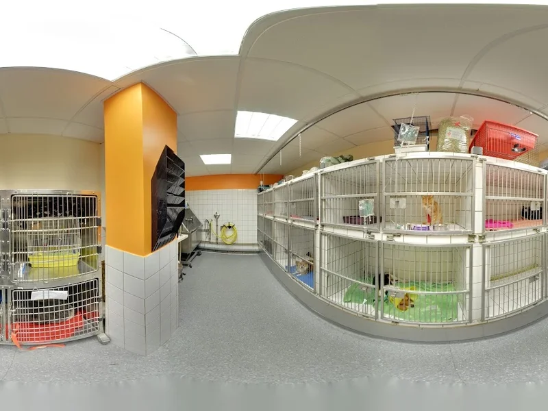 Clinique Vétérinaire du Centre - médecine & chirurgie canine, féline et NAC.