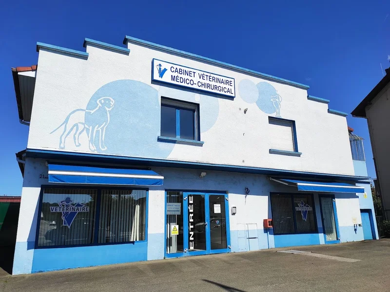 CV Dr Borguet Francine