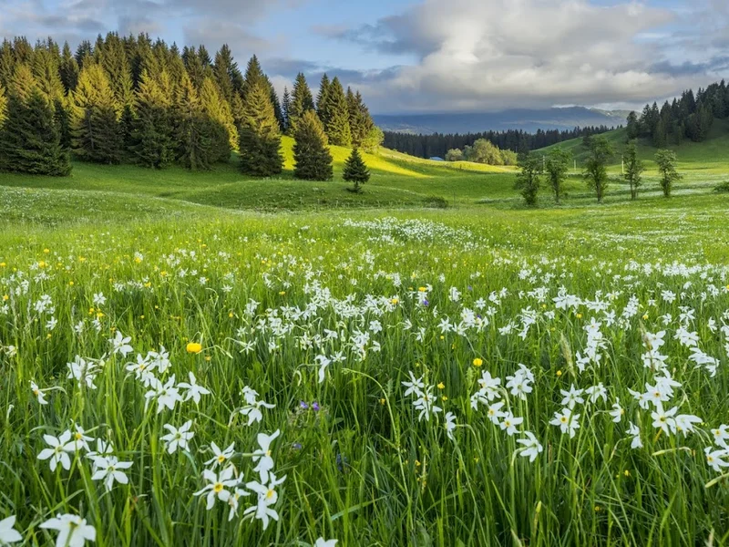 Montagnes du Jura