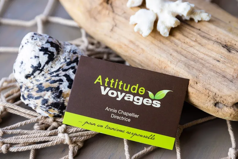 Attitude Voyages