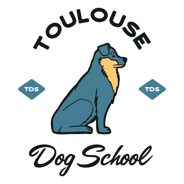 Toulouse Dog School