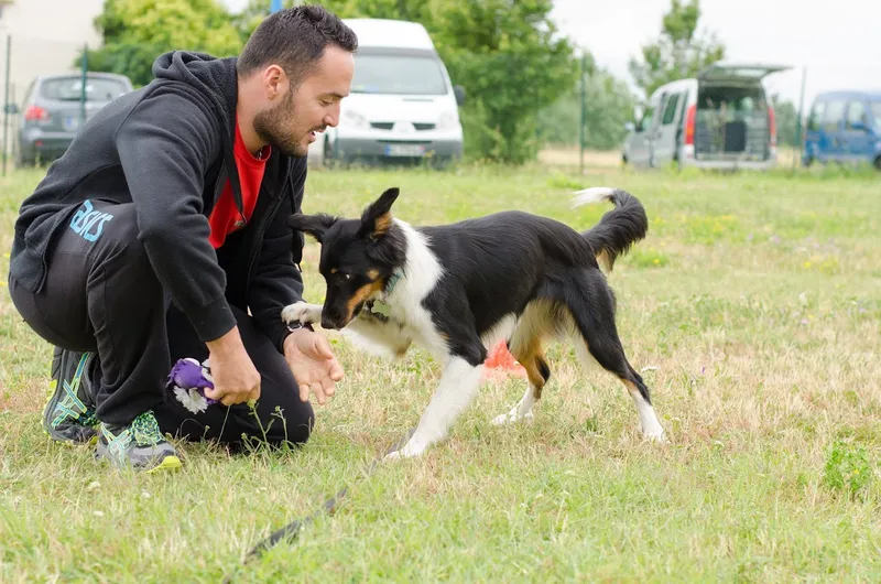 Club des Chiens Actifs Columérins (CCAC)