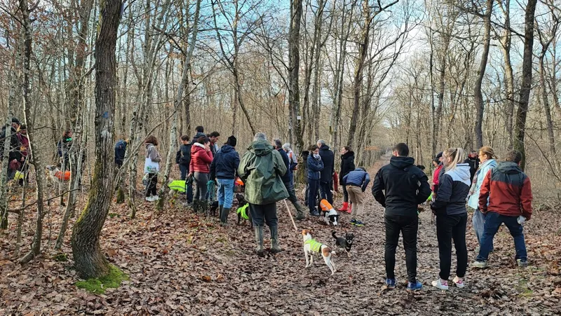 Expert Canin : Éducateur Canin Comportementaliste Toulouse