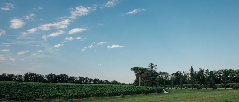 desclics Photographe Mariage Toulouse