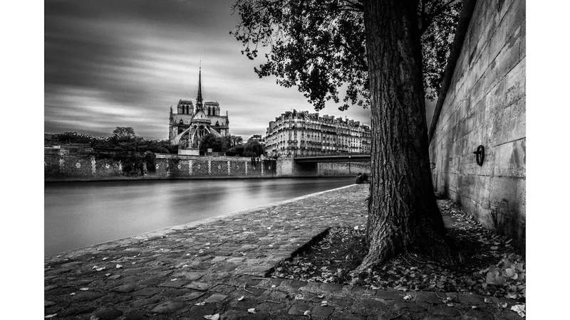 Sylvain Gelineau Photographism - Photographe Toulouse