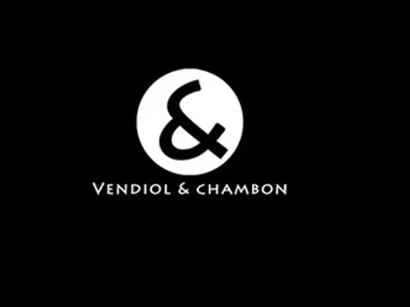 Vendiol & Chambon - Photographe professionnel de mariage
