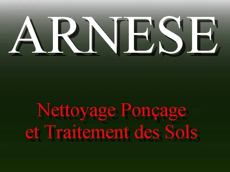 ARNESE entreprise de nettoyage, ponçage et traitement des sols dans le Gard