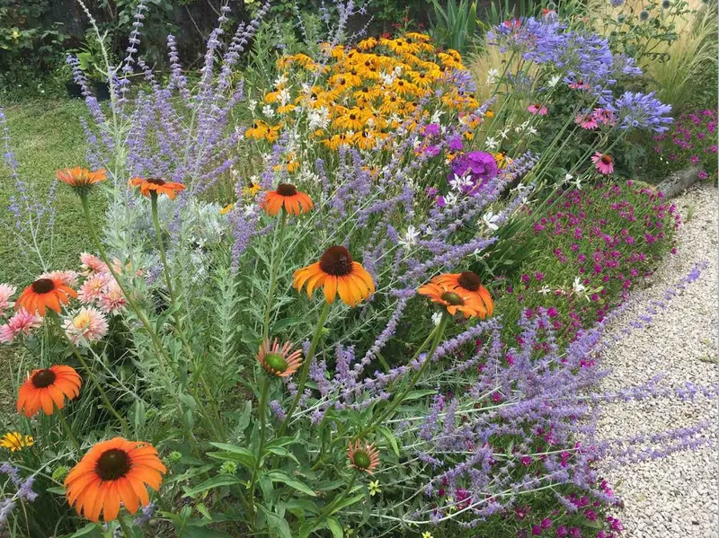 Mon jardin s'appelle reviens