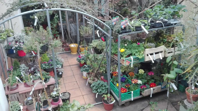 Barthès Guillaume EI Micro Pépinière de Jolimont - Les jardins écolos