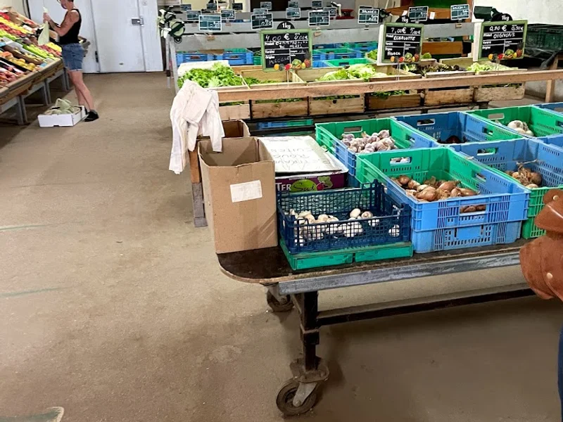 Eric Vachon vente directe de Légumes