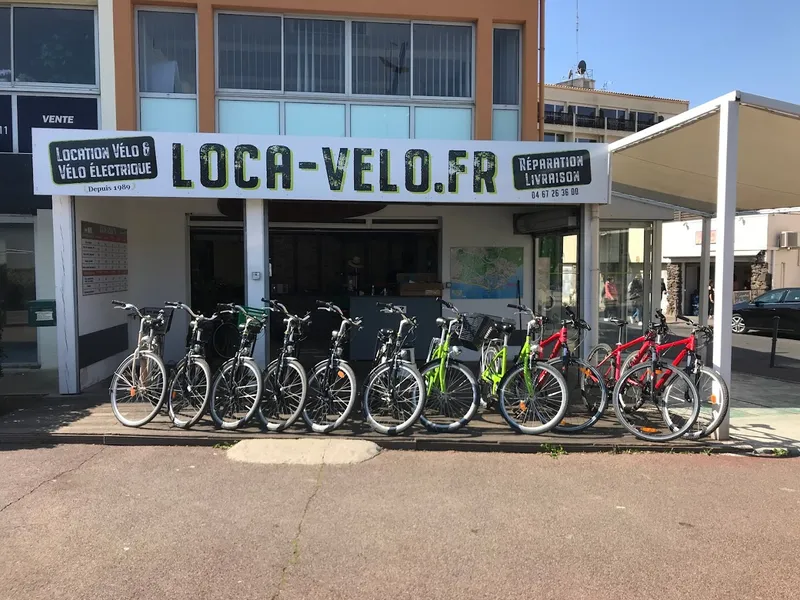 Loca-Velo