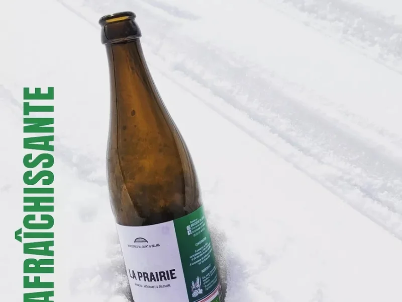 Brasseries du Quint et Balma