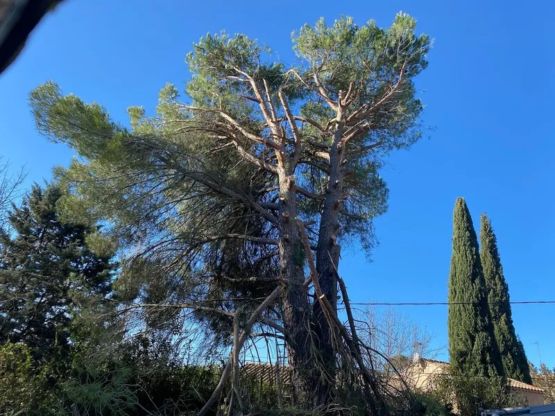 Entretien Espace Vert 34 - Jardinier paysagiste Lunel