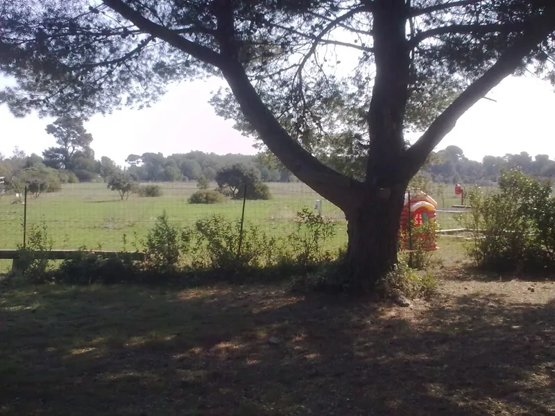 Camping à la ferme des Aresquiers