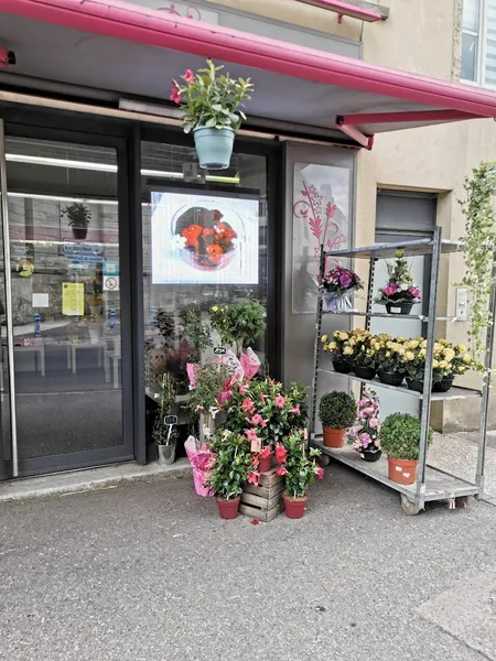 La boîte à fleurs - Le petit Coquelicot