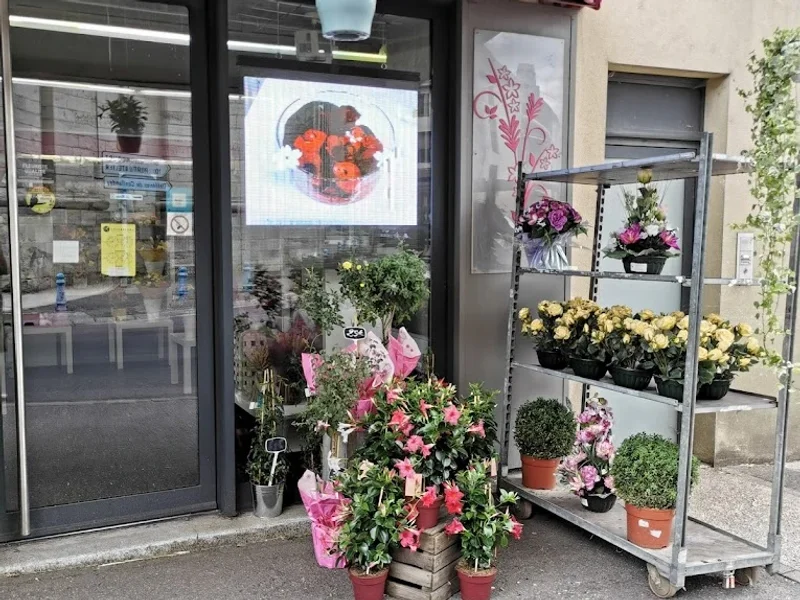 La boîte à fleurs - Le petit Coquelicot
