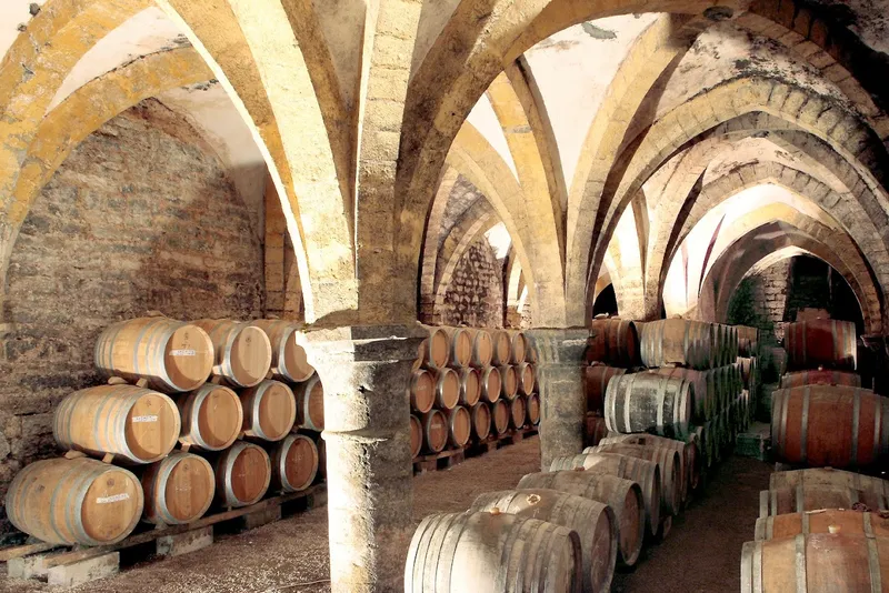 Cave de la Reine jeanne / Jérôme Arnoux - Vins du Jura