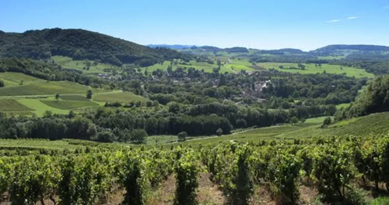 Les Caves Du Vieux Mont