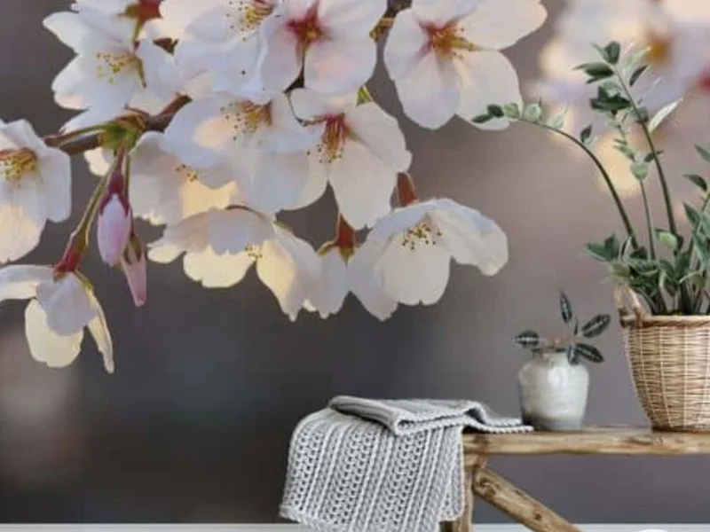 A'corps et Equi'Libre - Réflexologie et Massages Bien-être dans le Jura