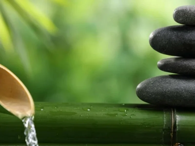 Shiatsu Jura E-Bien-Etre