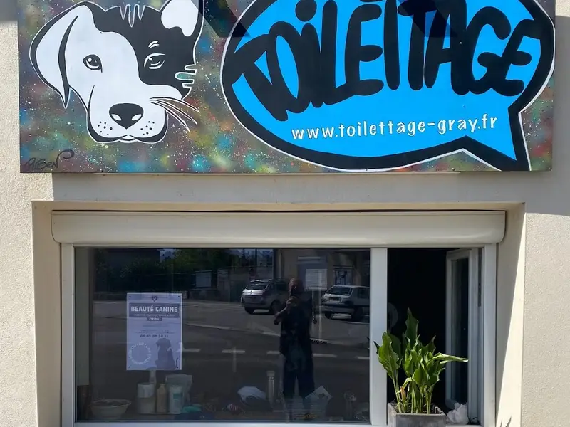 toilettage beauté canine