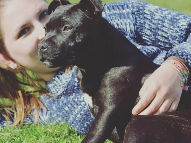 Salon de Toilettage Aux Anges