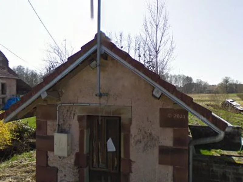 Com' Chien Et Chat, Toilettage A Domicile