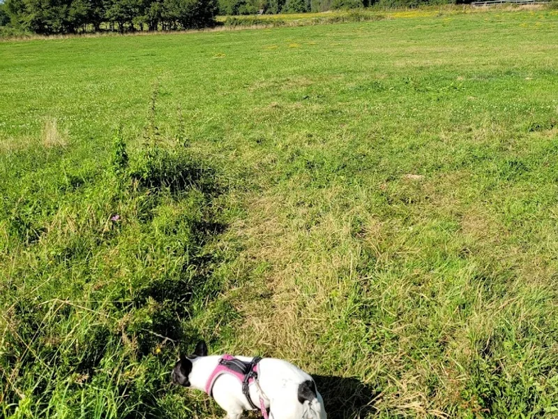 L'Arche de Jules pension